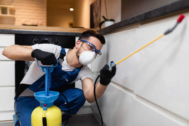 Best Affordable Pest Control Services  in Dent, OH
