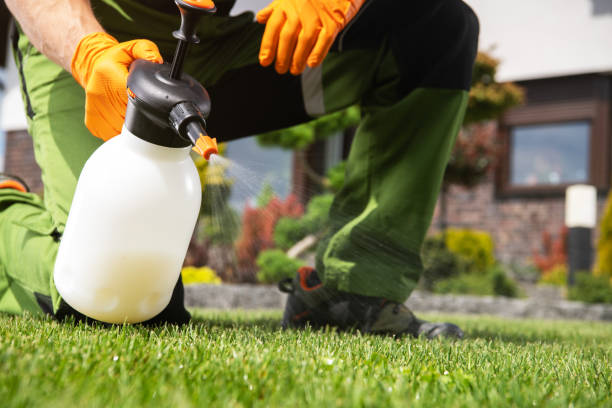 Best Bed Bug Extermination  in Dent, OH