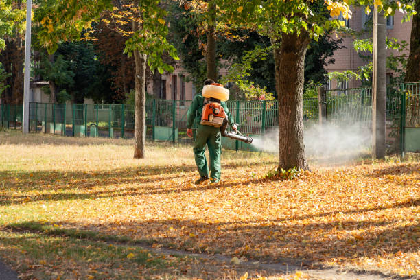 Professional Pest Control in Dent, OH