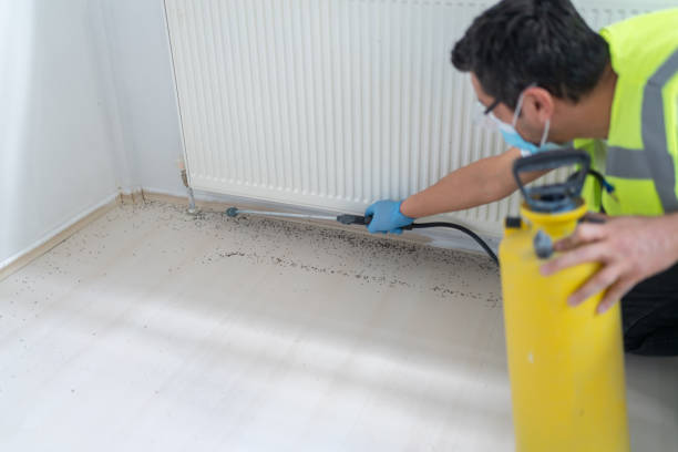 Best Affordable Pest Control Services  in Dent, OH
